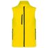 couleur Fluorescent Yellow