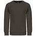 couleur Dark Grey
