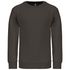 couleur Dark Grey