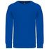 couleur Light Royal Blue