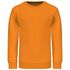 couleur Orange