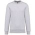 couleur Ash Heather