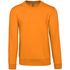 couleur Orange