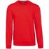 couleur Red