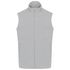 couleur Snow Grey