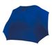 couleur Royal Blue