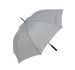 couleur Snow Grey