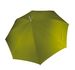 couleur Burnt Lime