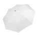 couleur White