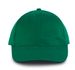 couleur Kelly Green / Black