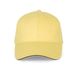 couleur Lemon Yellow / Dark Grey