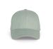 couleur Sage / Light Grey