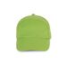 couleur Lime