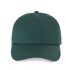 couleur Sycamore Green