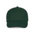 couleur Forest Green