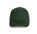 couleur Forest Green / Beige