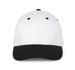 couleur White / Black