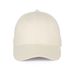 couleur Beige