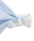 couleur Blue Bear