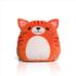 couleur Ginger Cat