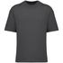 couleur Iron Grey