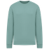 Sweat oversize unisexe - 300g Jade Green Native Spirit
