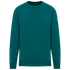 Sweat oversize unisexe - 300g Peacock Green Native Spirit