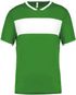 couleur Green / White