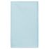 couleur Ice Mint
