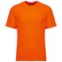 couleur Fluorescent Orange