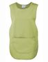 couleur Lime (ca. Pantone 382)