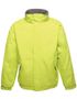 couleur Keylime / Seal Grey (Solid)