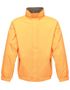 couleur Seal Grey (Solid) / Sun Orange