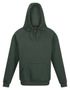 couleur Dark Green