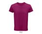couleur Fuchsia