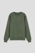 couleur Olive Green