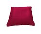 couleur Fuchsia