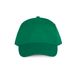 couleur Kelly Green