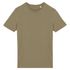 couleur Light Olive Green