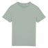 couleur Jade Green