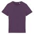 couleur Deep Plum