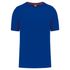 couleur Royal Blue