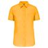couleur Yellow