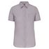 couleur Silver