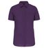 couleur Purple