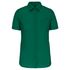couleur Kelly Green