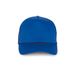 couleur Royal Blue
