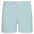 couleur Ice Mint