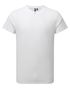 couleur White