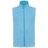couleur Cloudy Blue Heather